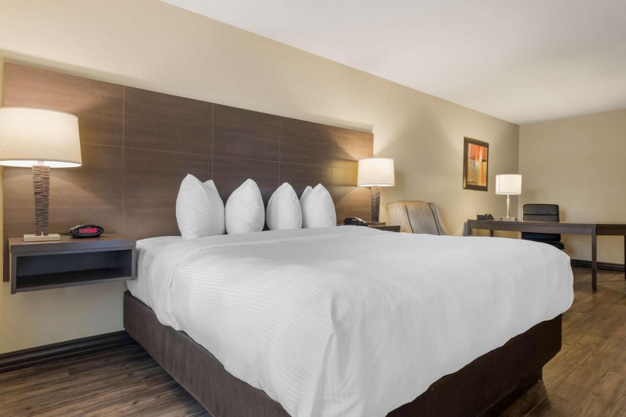 เบสต์ เวสเทิร์น พลัส เซนต์ จอห์น โฮเต็ล แอนด์ สวีท Hotel เซนต์จอห์น ภายนอก รูปภาพ